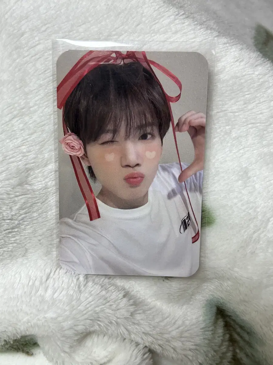 Treasure junkyu The Modern FurnishingsTreasure pre-order benefit photocard Ribbon Junkyu