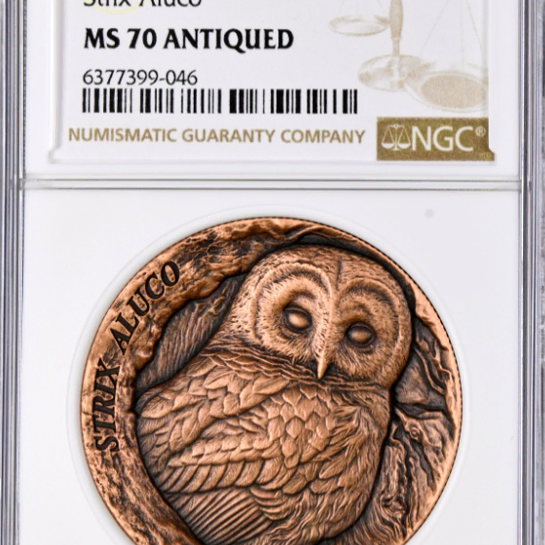 사모아 스트릭스 알루코 올빼미 47g  NGC MS 70 ANTIQUED