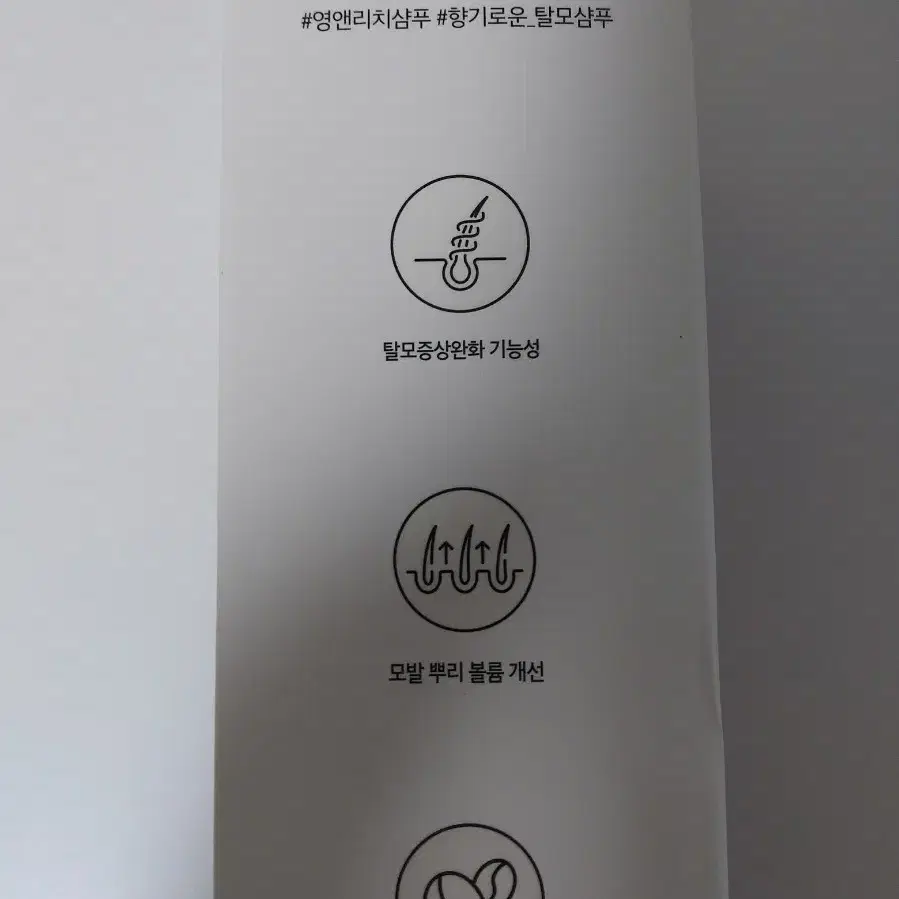 쿤달 탈모샴푸600ml 화이트머스크향 새상품