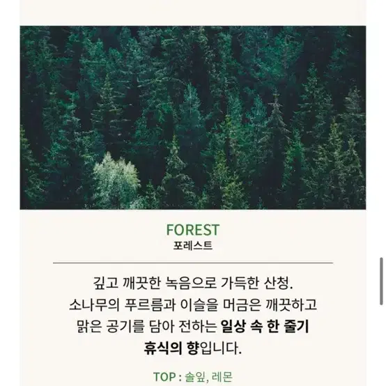 센틀리에 산청 디퓨저 포레스트향