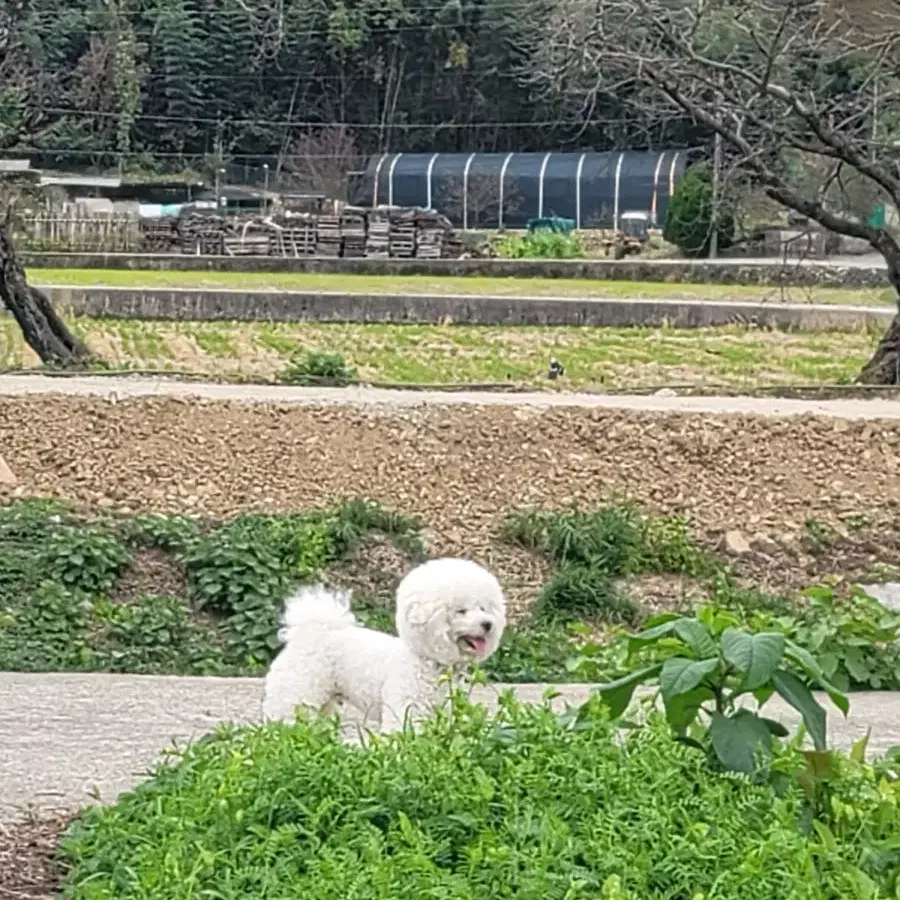 택배예약 옷