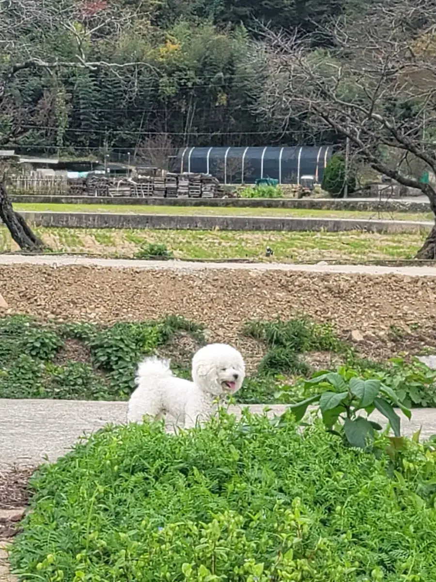 택배예약 옷