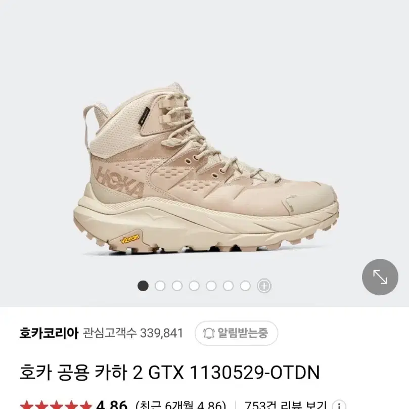 호카 카하 2. GTX 등산화