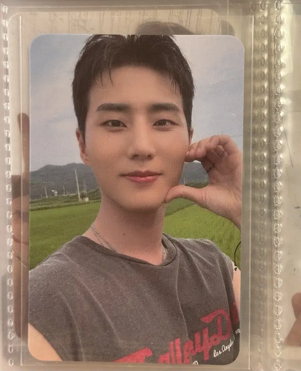 Day 6 Young Kay Levitno everline ld photocard wts