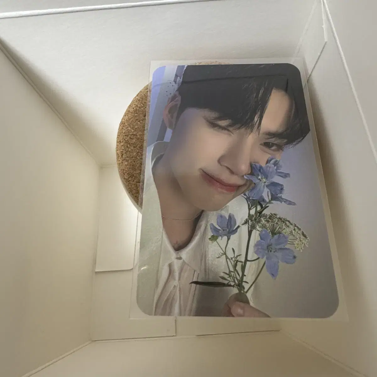 Zerobaseone pop up TheModernCandle photocard WTS