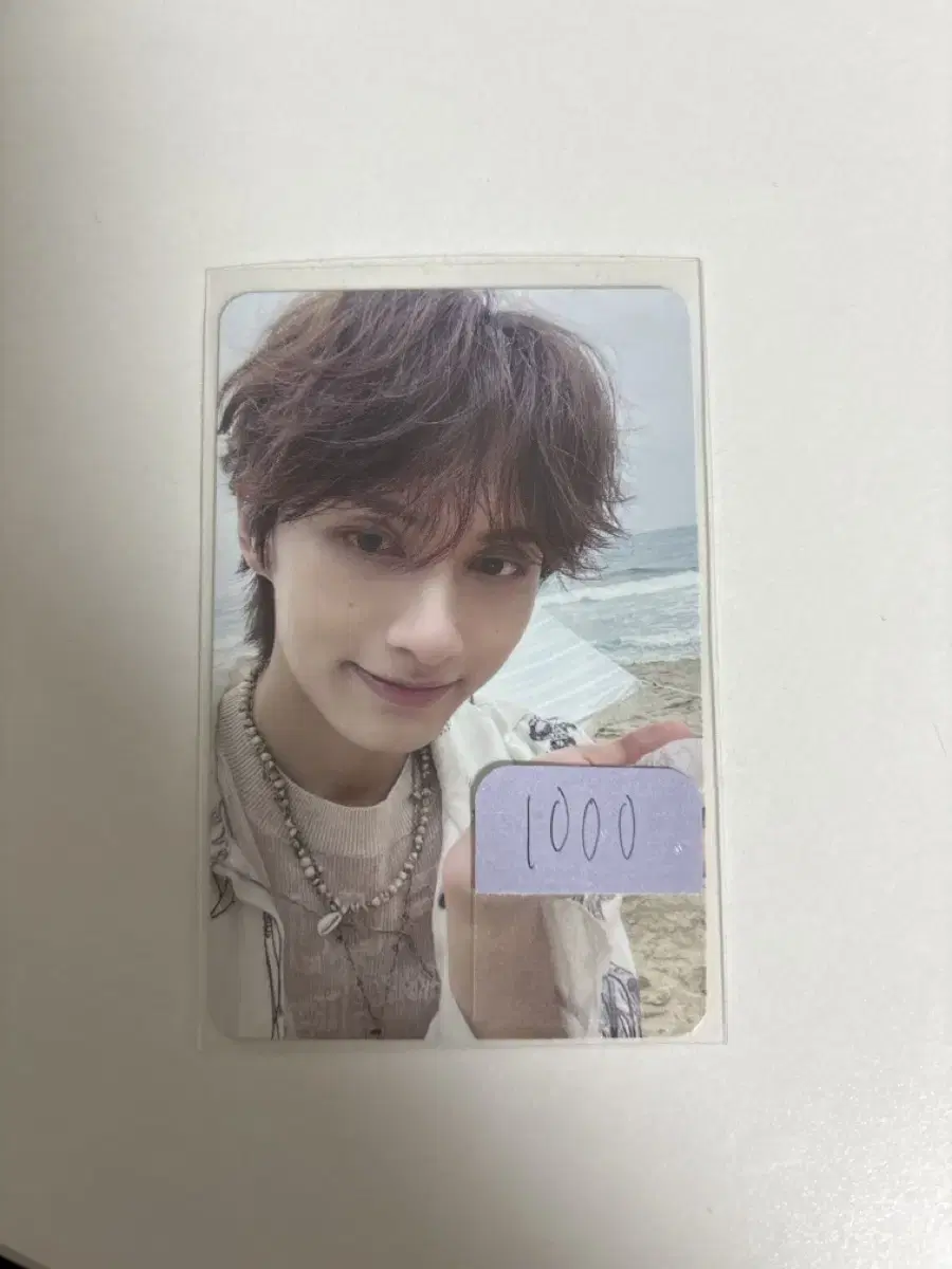 Seventeen Spelderfields Minis Vol. 12 jun photocard photocard wts