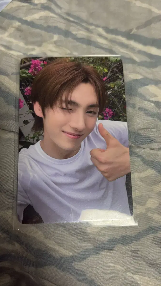 (Secure Payment) TWS TWS youngjae Summerbit yizhiyu Macau showcase photocard Transfer