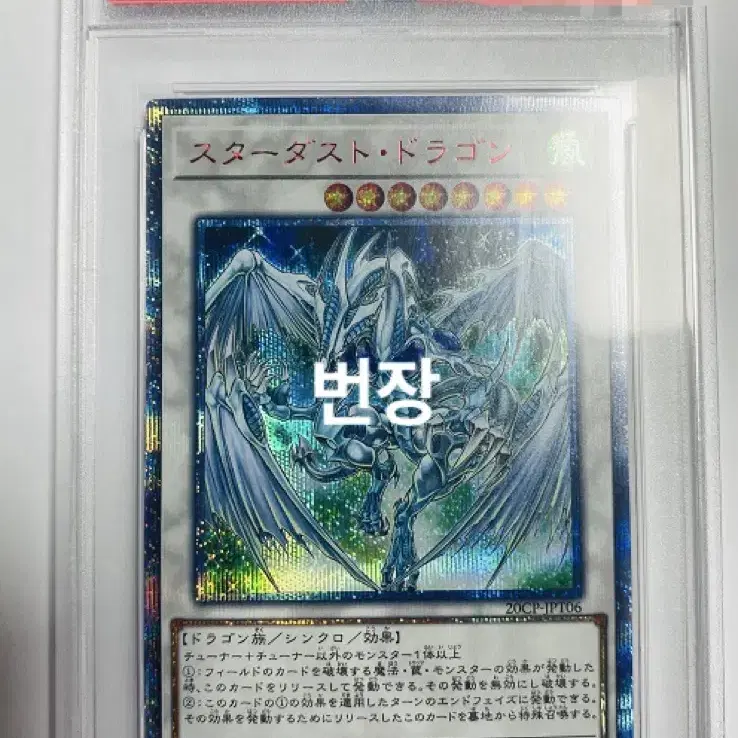 유희왕 스타더스트 드래곤 20th psa 10