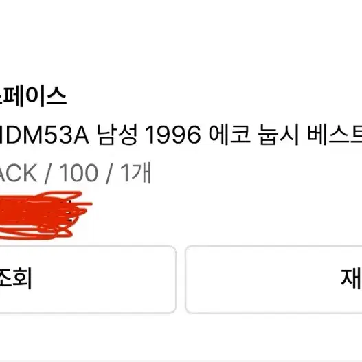 노스페이스 1996 레트로 눕시 베스트 L