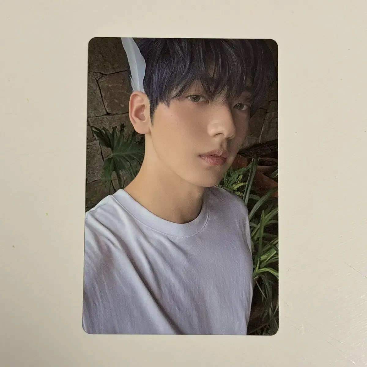 Tubatu Sanctuary soobin Angel photocard WTS