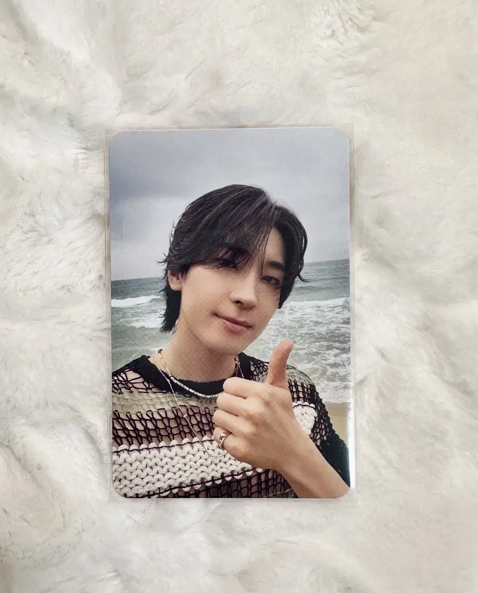 Seventeen Mini 12th Edition wonwoo alfo wts