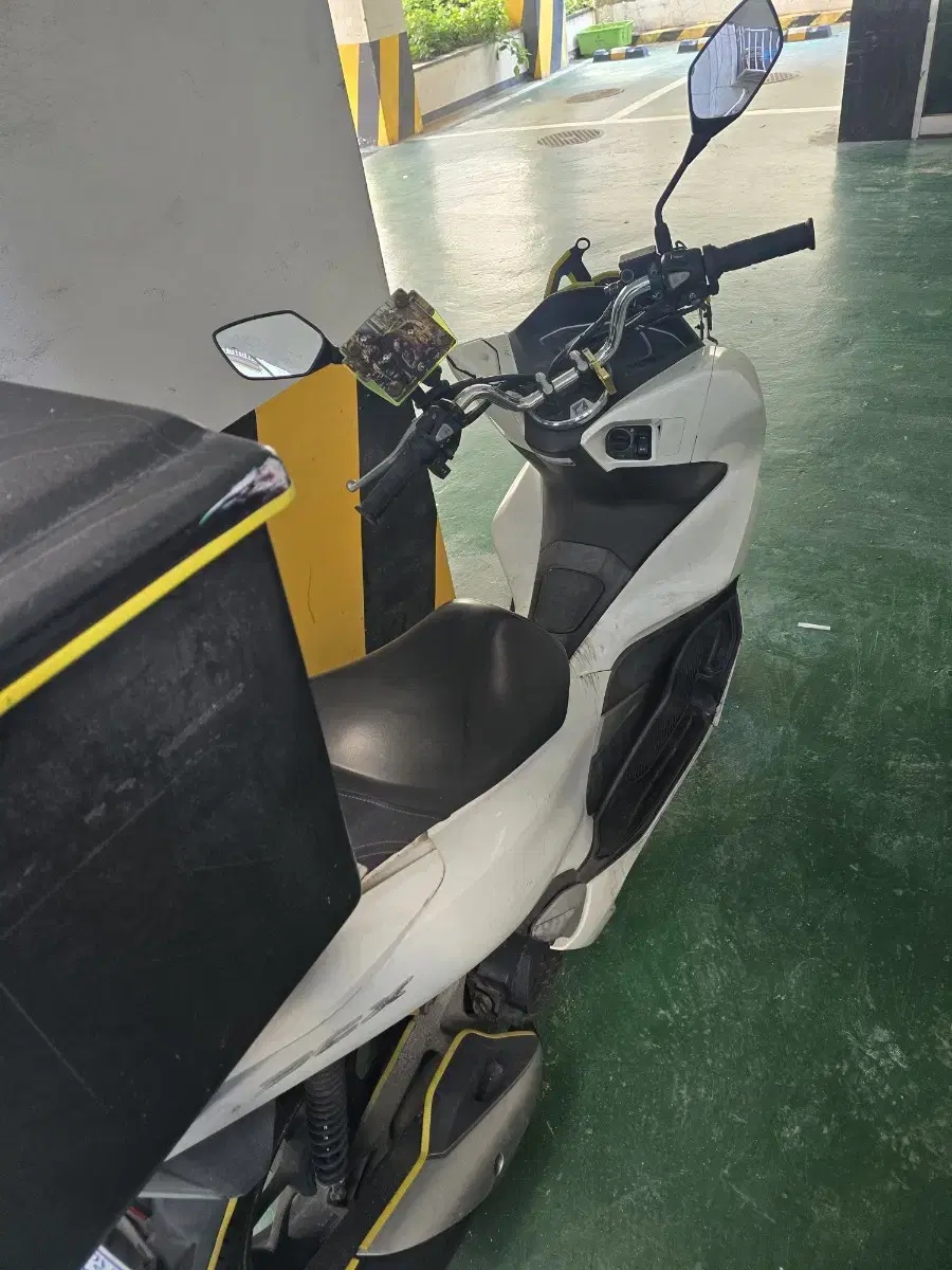 pcx