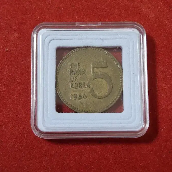 1966년 5원(3개)