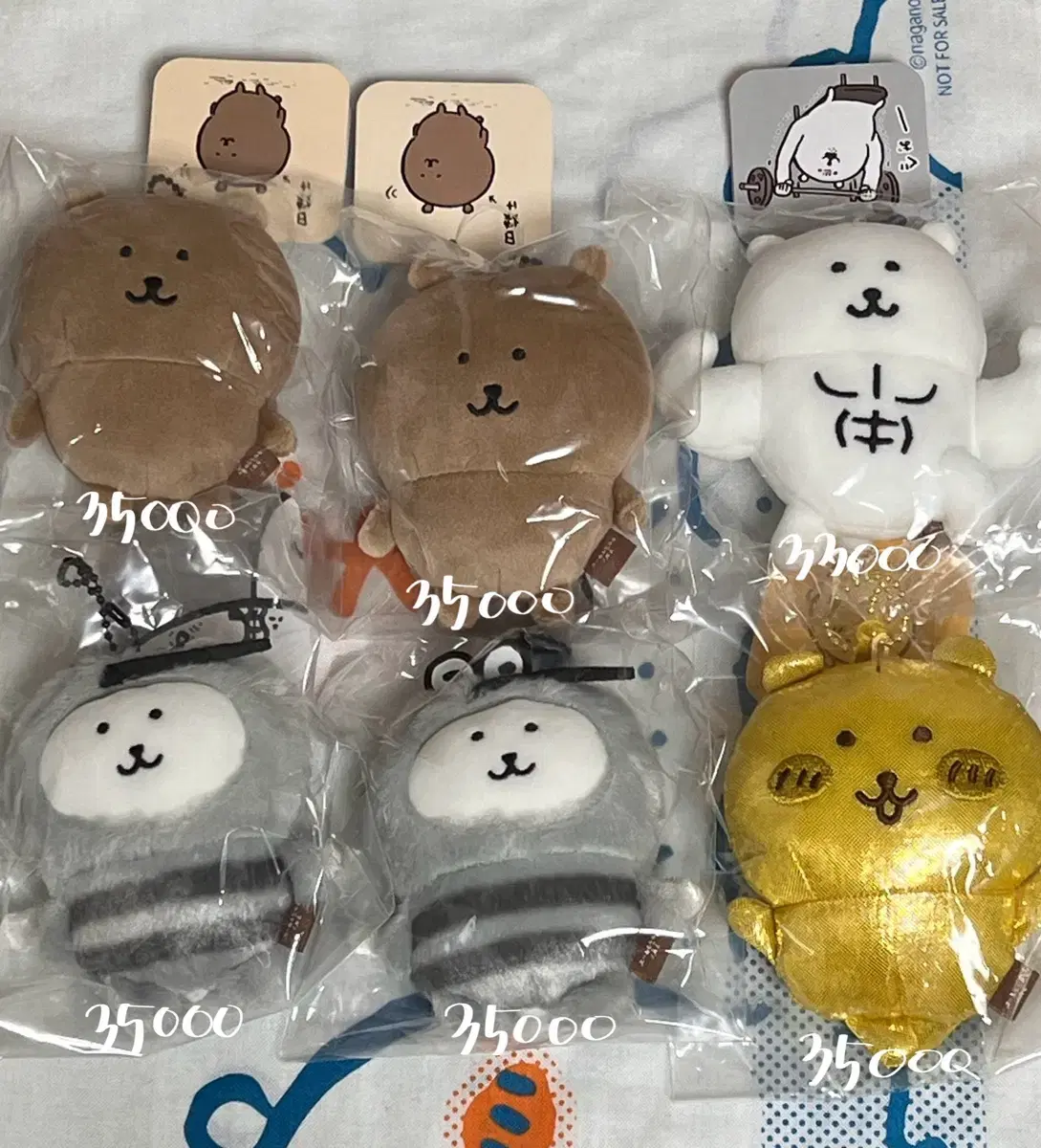 농담곰 마스코트 판매 모기곰 금담곰 선탠곰 태닝곰 근육곰 담곰이 나가노