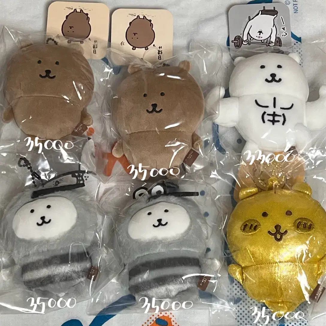 농담곰 마스코트 판매 모기곰 근육곰 금담곰 선탠곰 태닝곰 담곰이 나가노