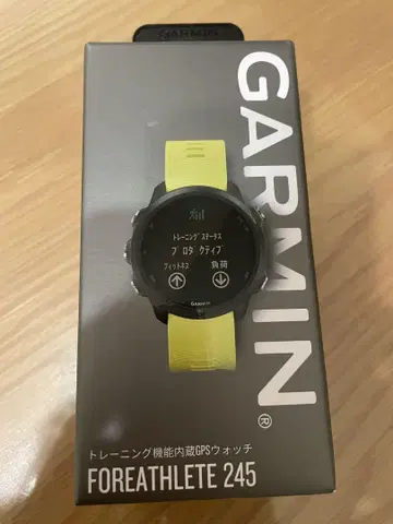 가민 245