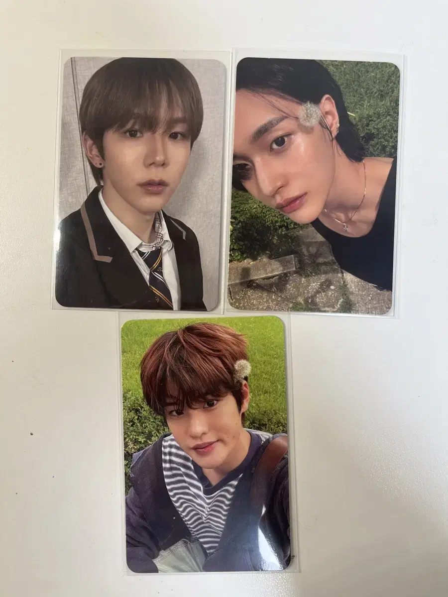 Rize Rize ktwon4u unreleased photocard shotaro wts wonbin sohee