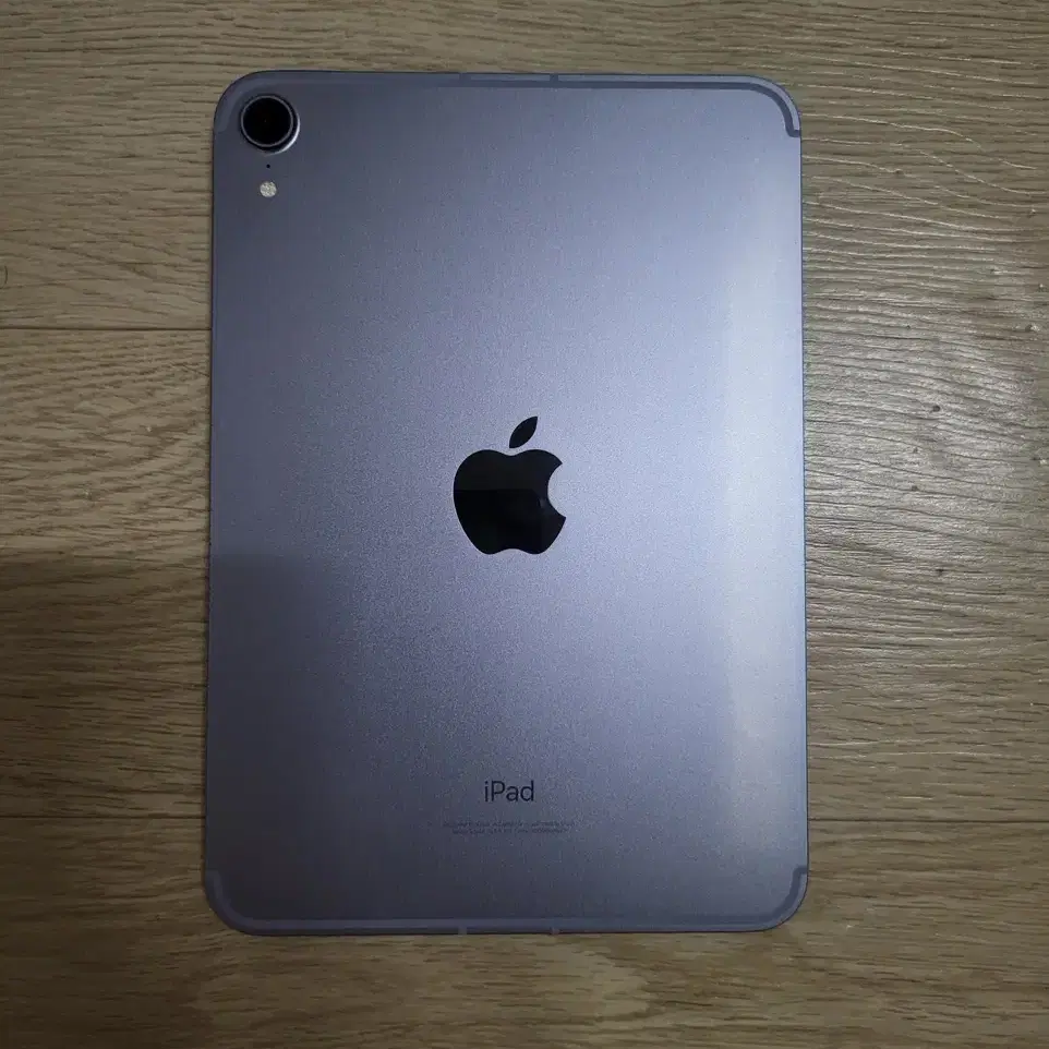 iPad mini6(64gb WIFI+Cellular)+애플펜슬2