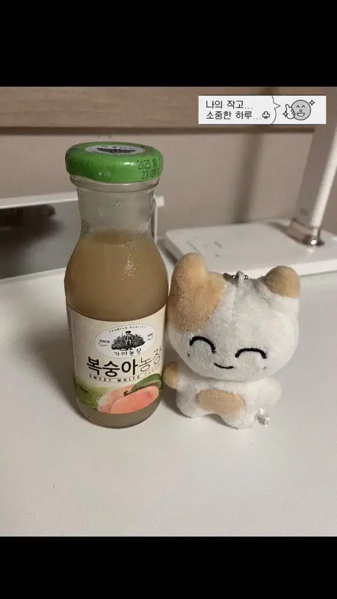 Jaehyun Jung doll wts somtamj