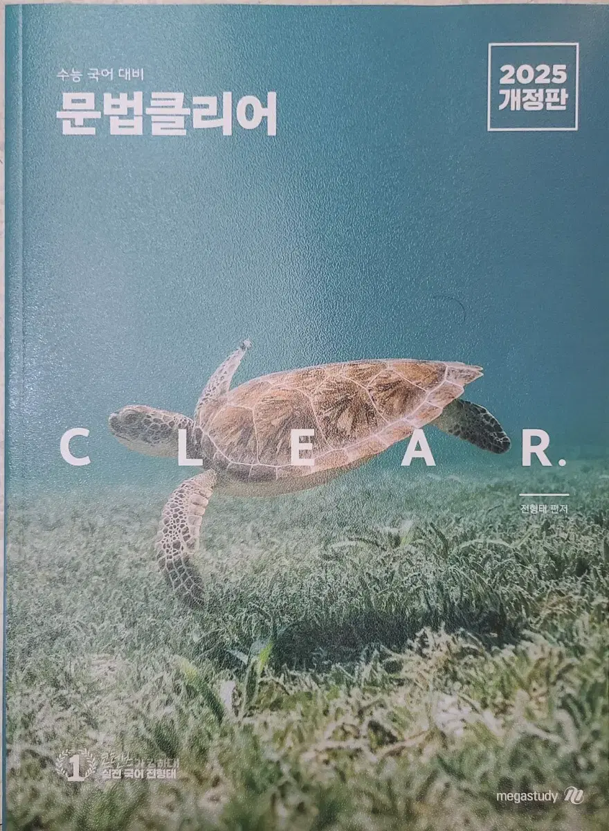 전형태T 언매클리어