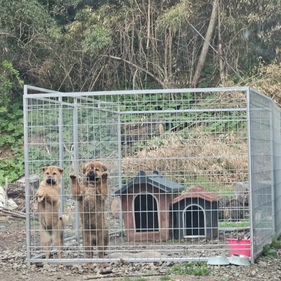 강아지 울타리 펜스 팔아요