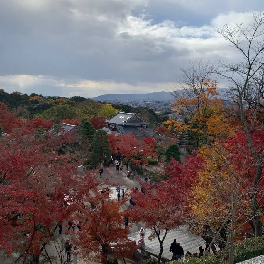 체인 은팔찌 대나무