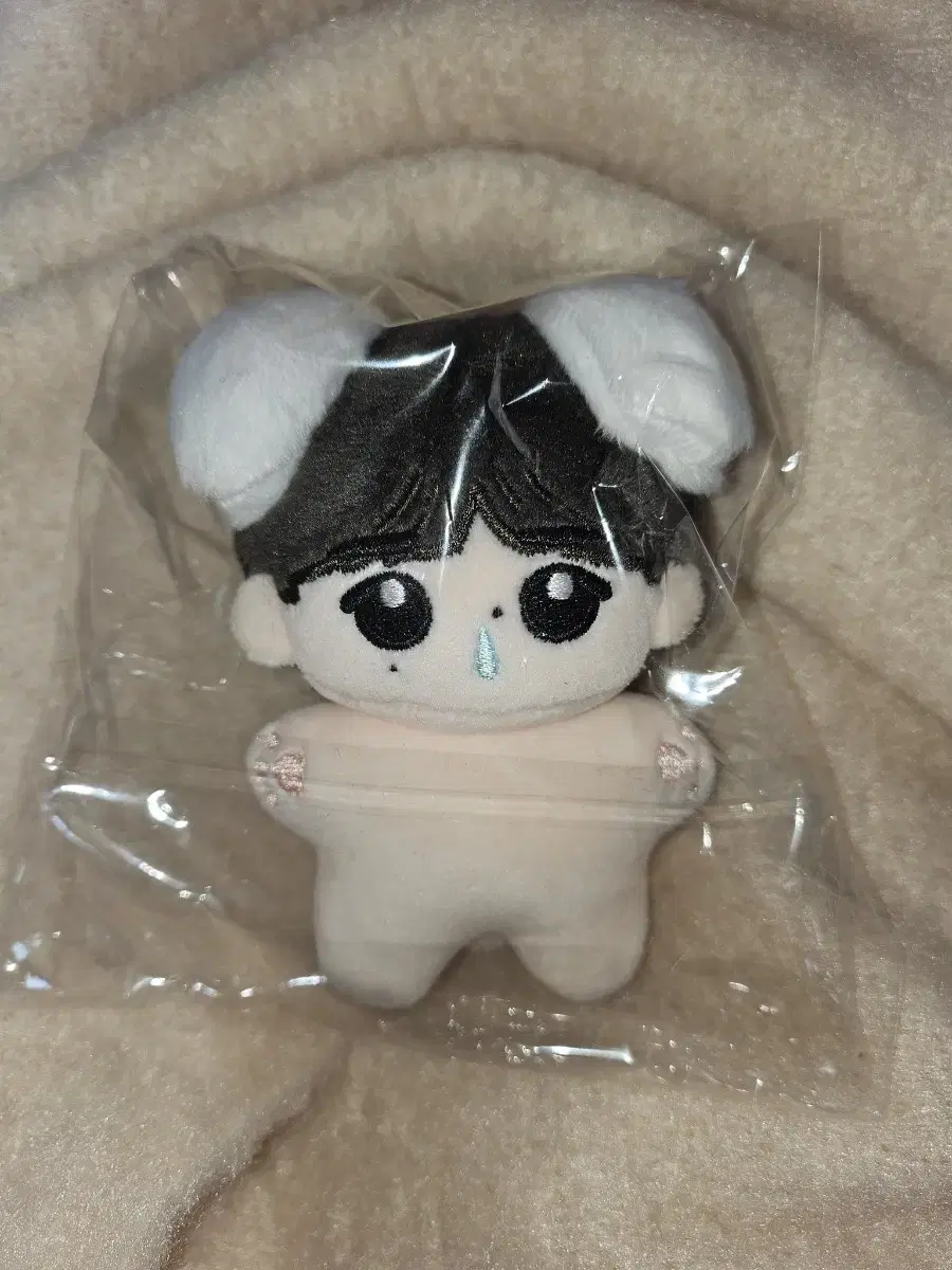 enhypen sunghoon doll 훈댕이 멍훈군 wts