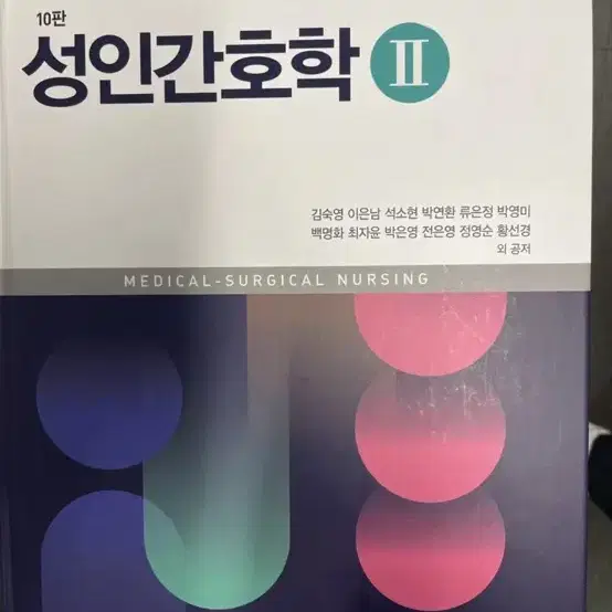 성인간호 수문사 10판 1,2권 pdf