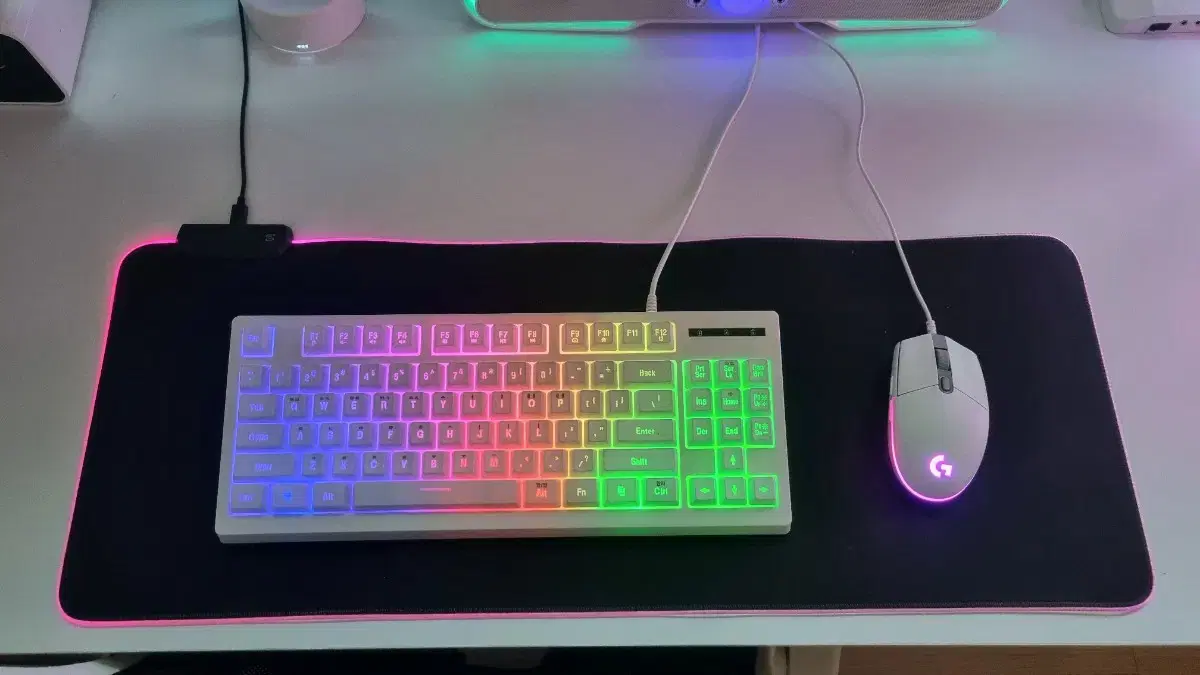 rgb 장패드