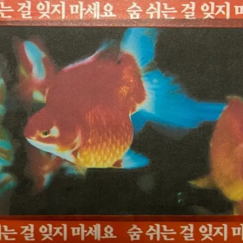 네이키드런치 3종 마테띵