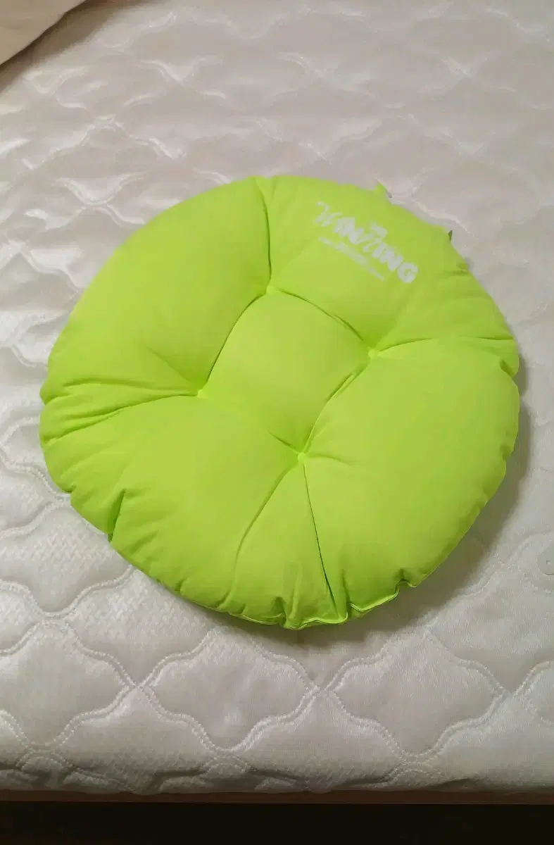 IU The Winning Sunday Concert Cushion