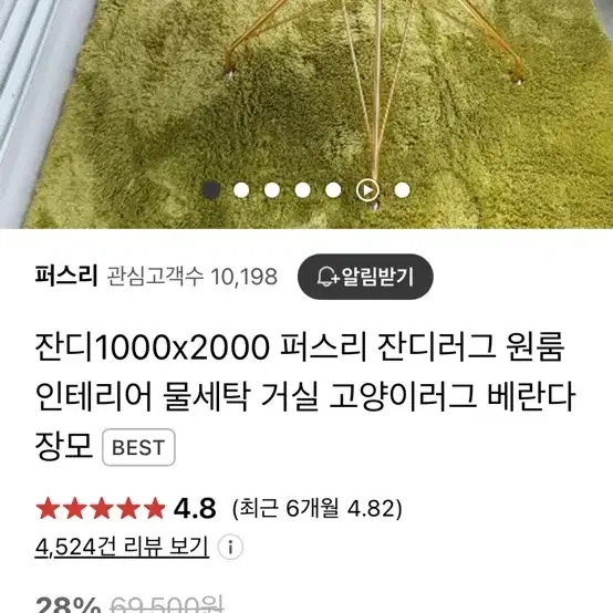 잔디색깔러그