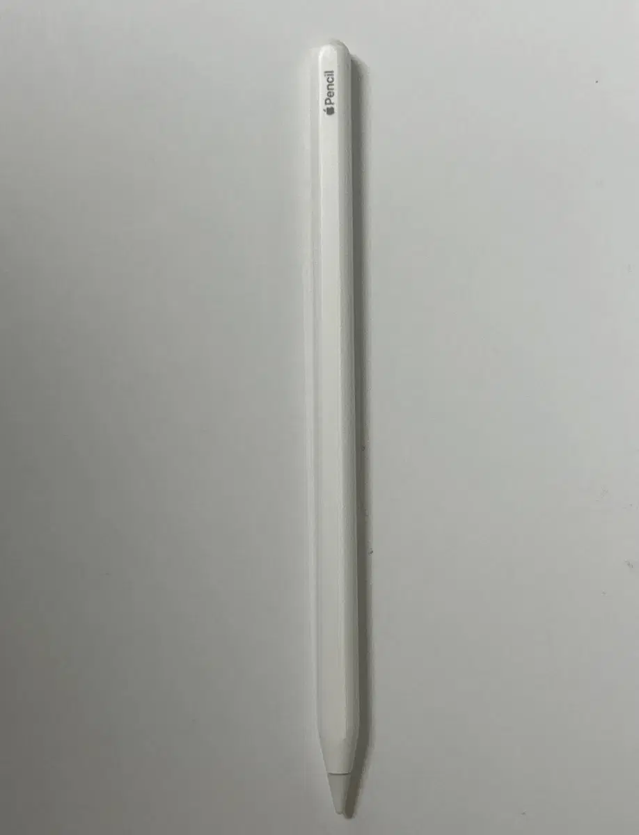 Apple Pencil 2nd Generation (I've only used it for four months