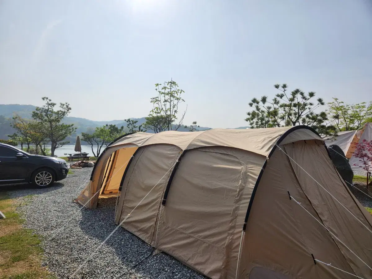 DOD Gamaboko 3M Large for sale