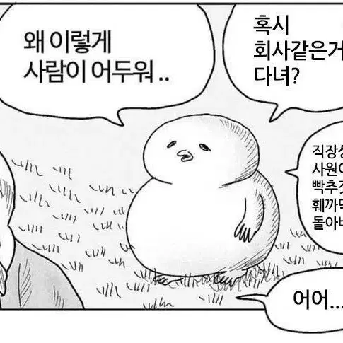 로판 소장본 외 판매