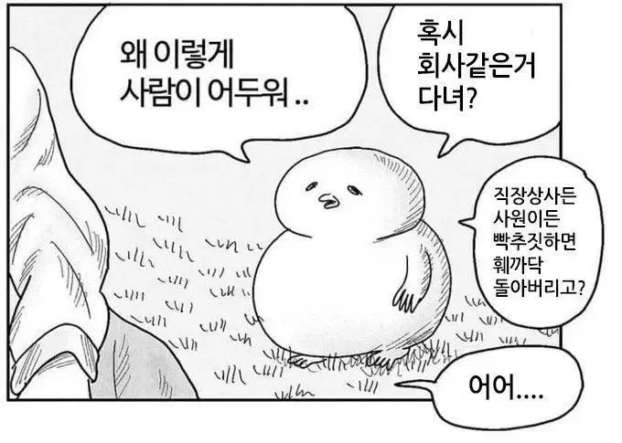 로판 소장본 외 판매