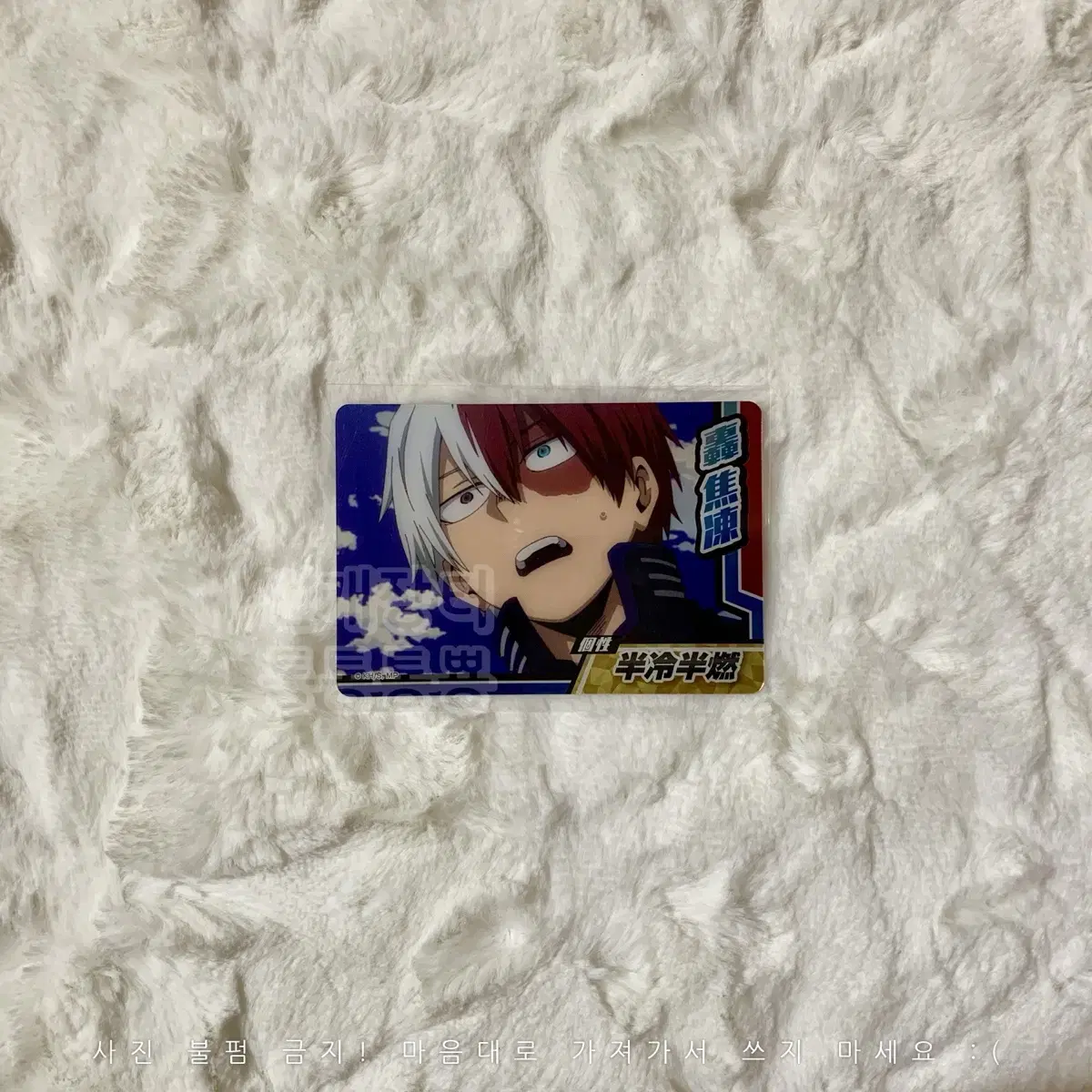 Nahia Collector's Card 6th Todoroki Shoto Hiroaka Metal Card