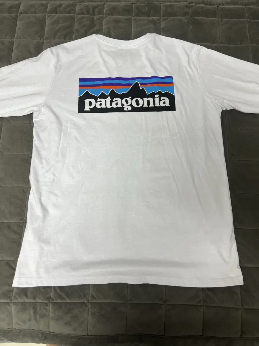 Patagonia Long Sleeve