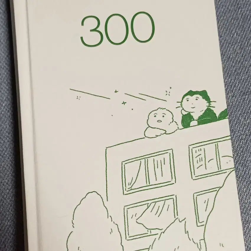 300 책