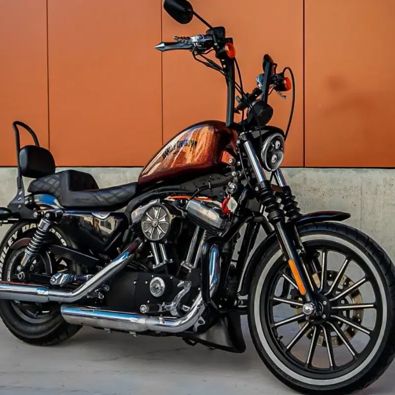 Harley-Davidson Iron 883 2013 년