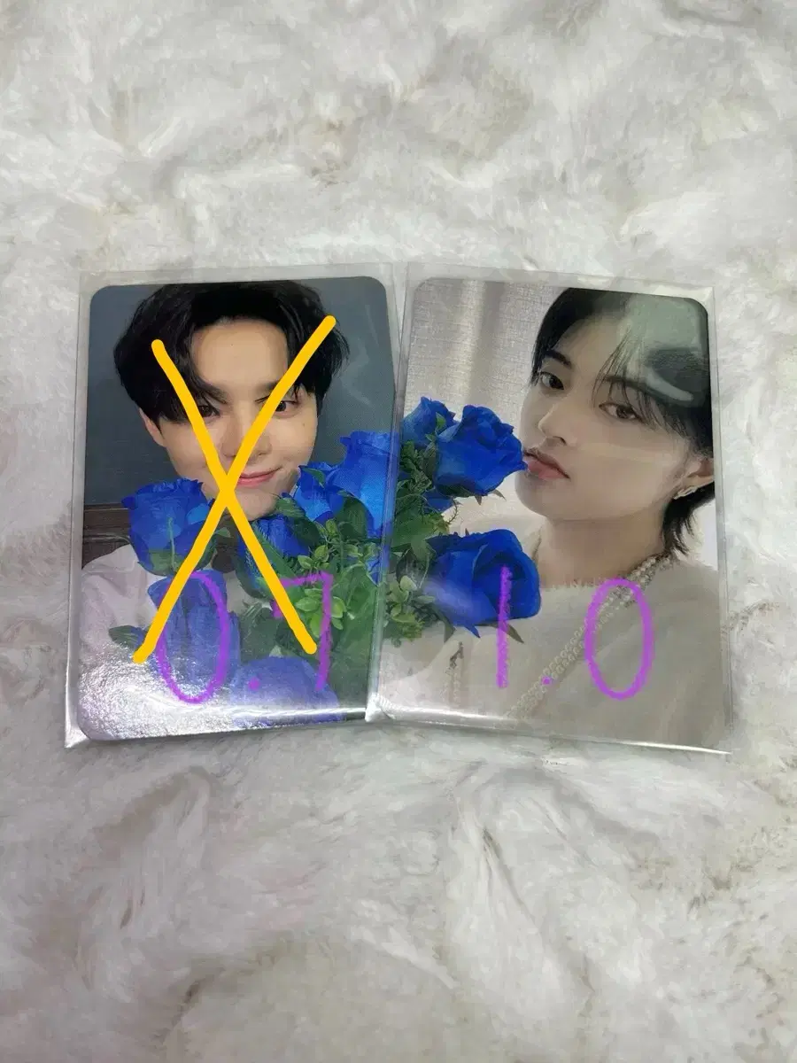 Treasure haruto Nightgarden photocard WTS