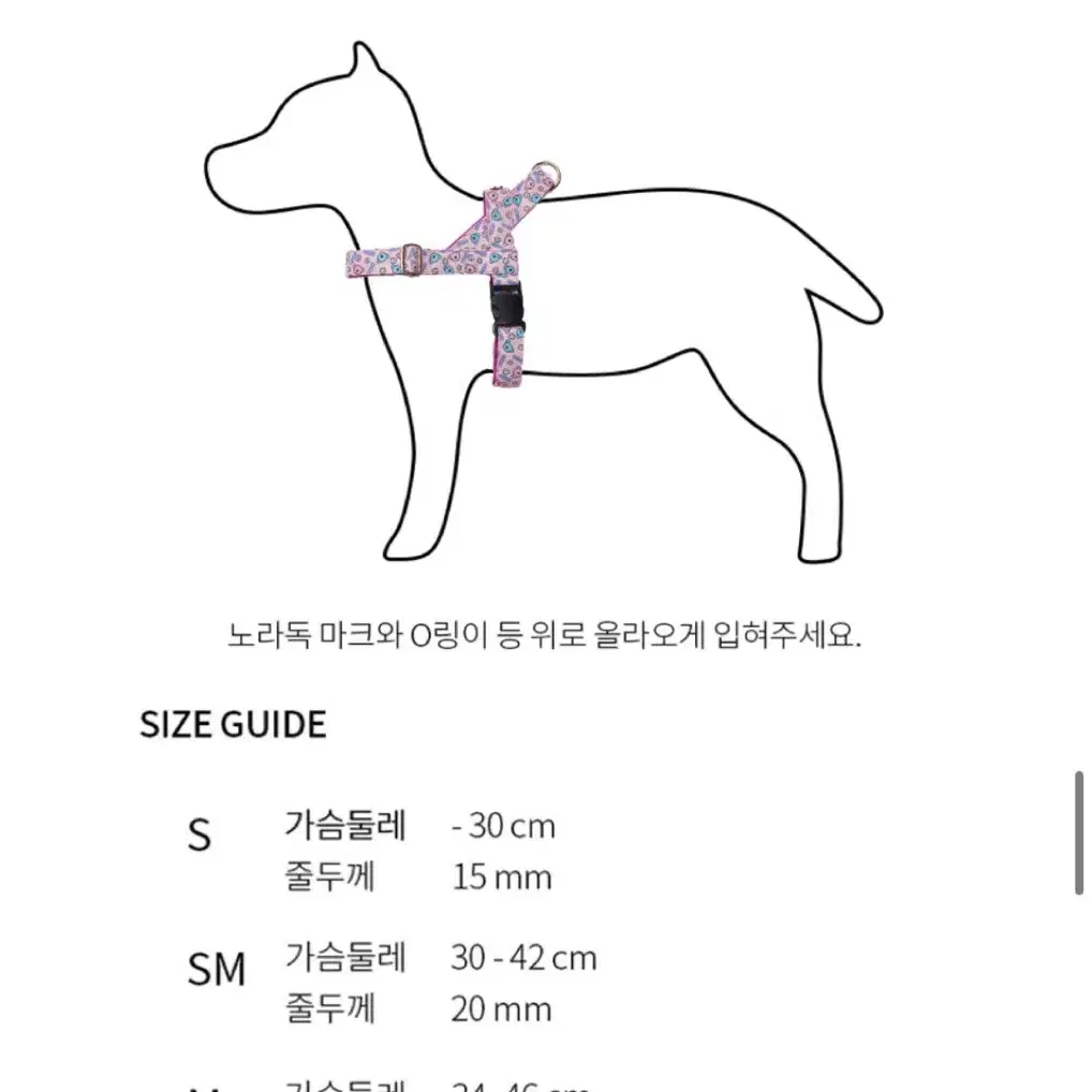 노라독 하루 강아지 이지하네스 m+ 기본리드줄