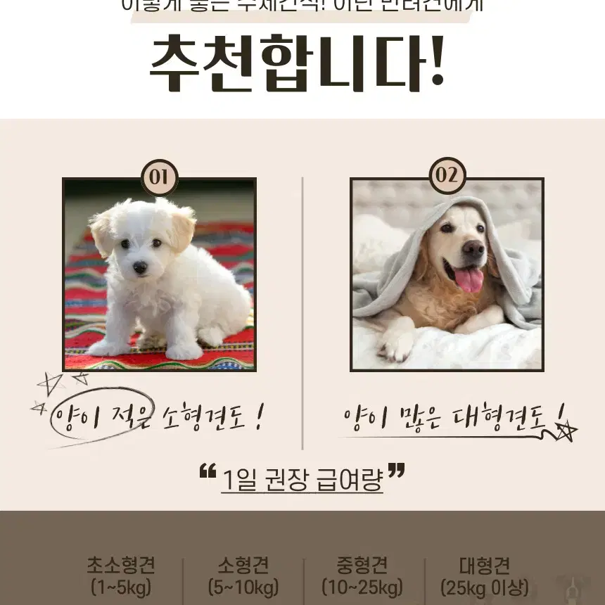 강아지 수제간식 큰 오리날개 100g 대형견 소형견 개껌 간식마트