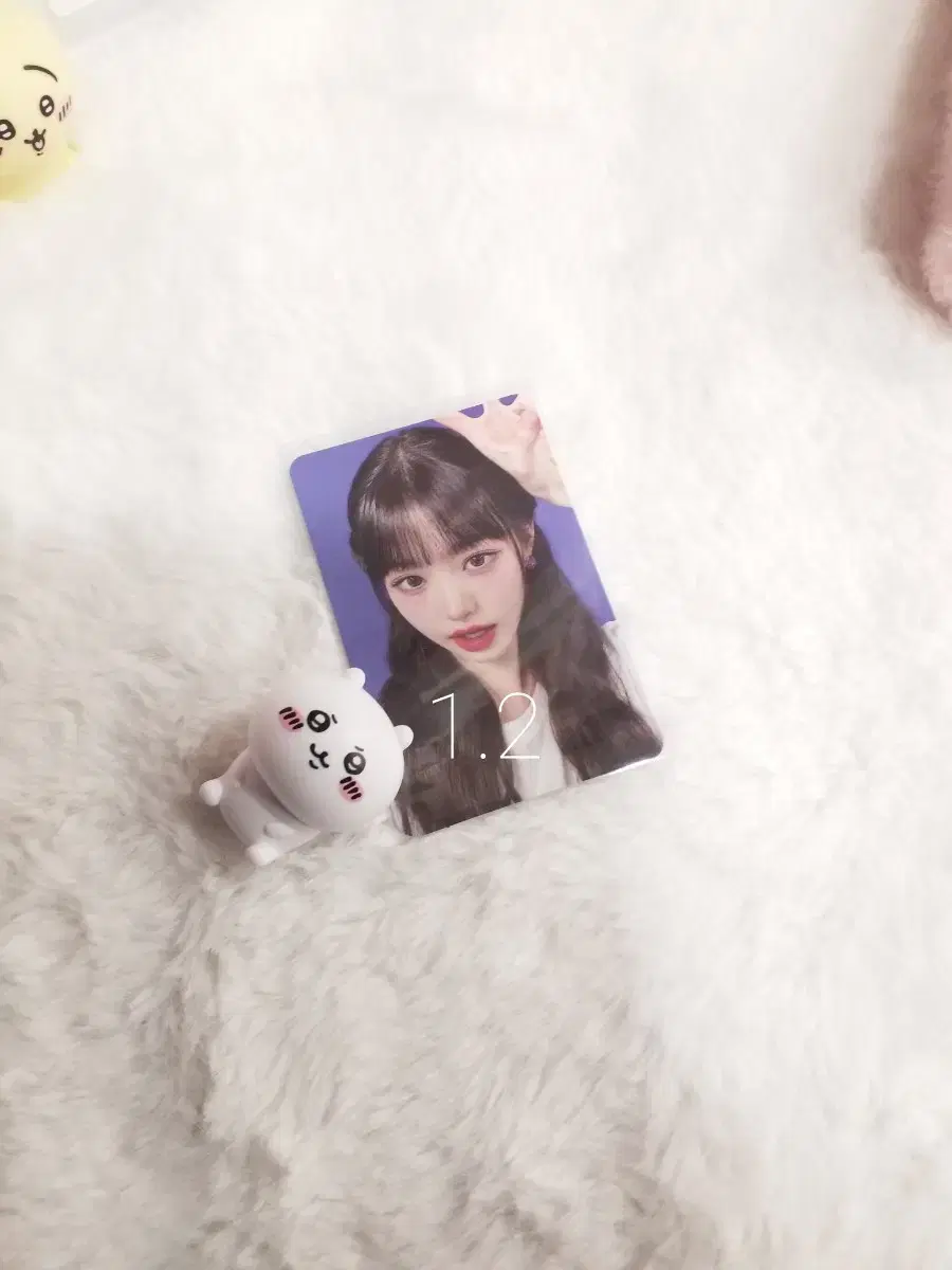 ive jang wonyoung dvd photocard