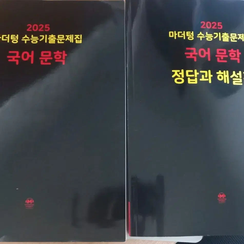 2025 수능기출문제집 마더텅 문학