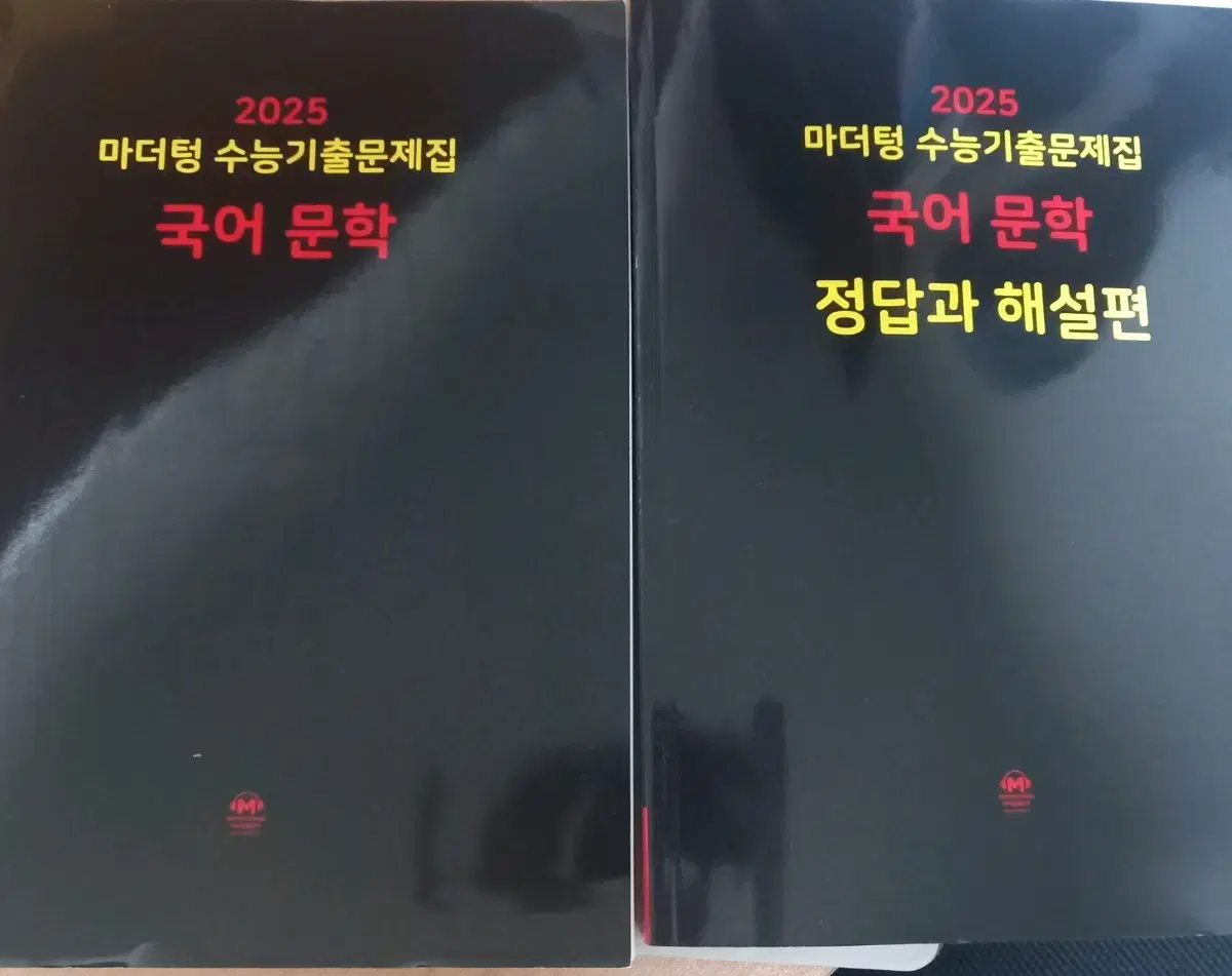 2025 수능기출문제집 마더텅 문학