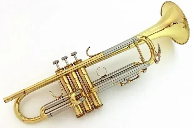 트럼펫 대만정품 Swallow trumpet Taiwan