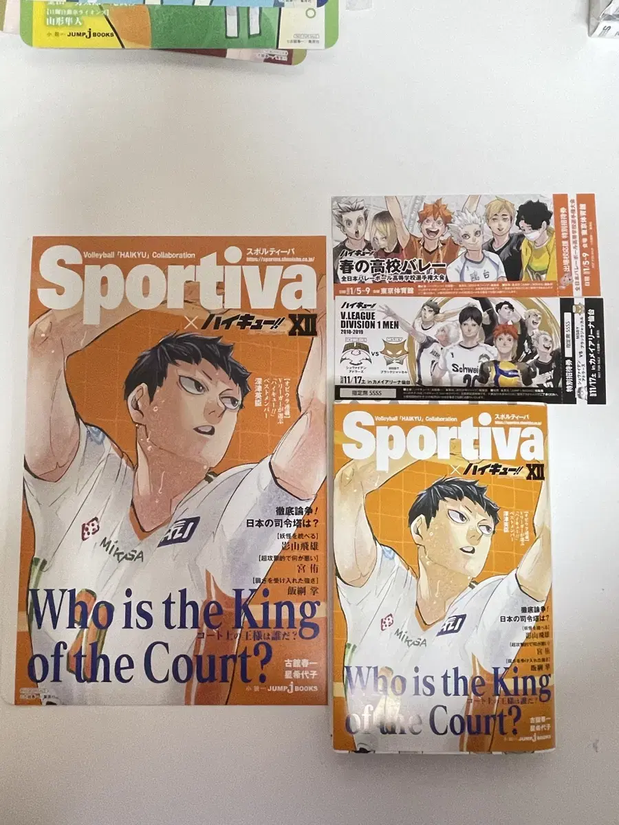 Haikyuu Sportiba Vol. 11 Kageyama Visual Board poster pre-order benefit Novels