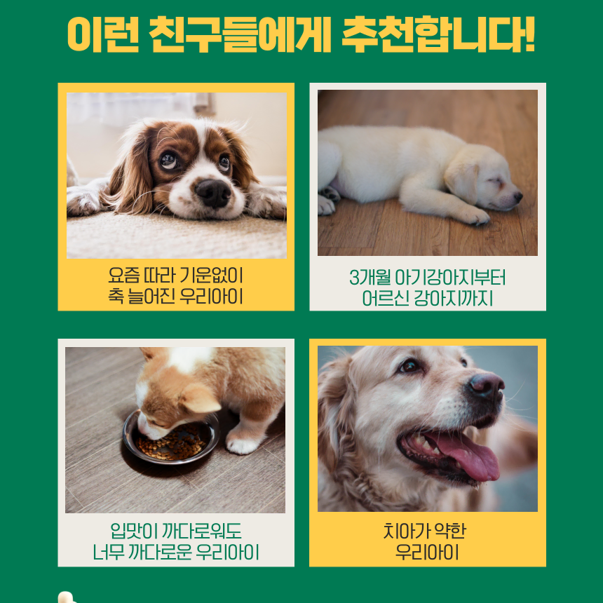 강아지 수제간식 통 오리목뼈 500g 대형견 소형견 개껌 간식마트