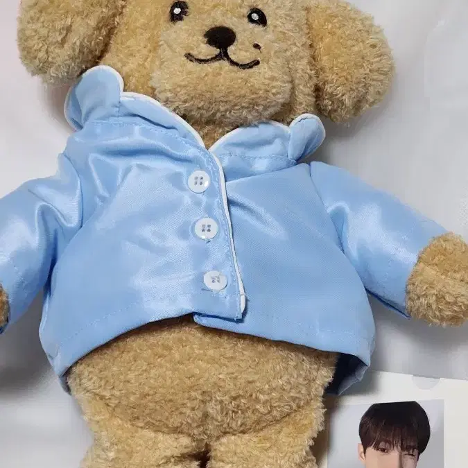 세븐틴 도겸 도아 인형